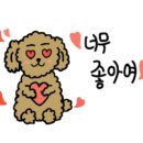 댕댕얌얌 네이버블로그