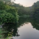 중동소류지 이미지