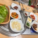 제주촌생고기집