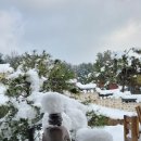 여주-0324 이미지