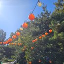 파리바게뜨 구미봉곡점 | 구미 봉곡동 카페 로로리 할로윈 감성 가득한 디저트 맛집 🎃 말차치즈케이크 &amp; 바나나피넛 후기