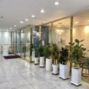 캔버라스크린골프 이미지