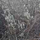 화양세탁소 이미지