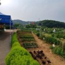 양자농장 이미지