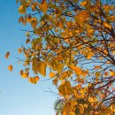 경희해독한의원 이미지