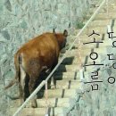 당당한의원 이미지