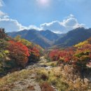 백산조수골마을 이미지