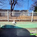 영산면사무소 이미지