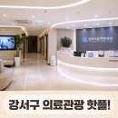 서울연합의원 | 강서서울연합의원 강서구 의료관광 중심으로 떠오르다