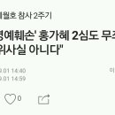 '해경 명예훼손' 홍가혜 2심도 무죄… 법원 "허위사실 아니다" 이미지