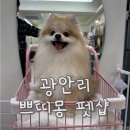 쁘띠몽펫샵 이미지
