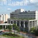 서울대학교 이미지