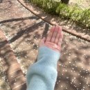 도원고등학교앞 이미지