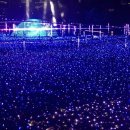 별빛정원 이미지