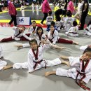 경희대 디딤돌 태권도 이미지