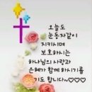 🌺🍒이삭이 리브가를 아내로 삼다 이미지