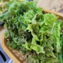 큰엄마삼시세끼코다리&생고기 이미지