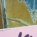 포항한사랑약국 이미지