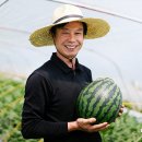 퍼밀