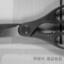 진실어린이집 이미지