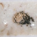 평택5로114번길 이미지