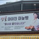 정담213 | [전북 정담213] 마이산 둘러보고 가기 좋은 대형 마늘빵 카페- 오리지널 크림치즈, 듬뿍 마늘 바게트 후기