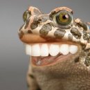 반월식당 이미지