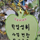 대구농특산물유통대구장터지점 | 대구 팔공산 동화사 산중장터 승시축제 주차 행사내용 가는방법