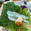 고성횟집 | 아야진 횟집 고성 애견동반 식당 수락간횟집 후기