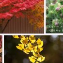경남대학교 대학원 이미지
