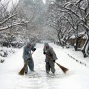 하여