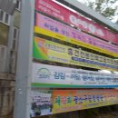 대반초교 Daum카페