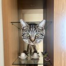 (주)파로스 관광호텔 이미지