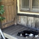 세화초등학교 | 해녀박물관/가는곶/여름문구사/나나이로/세화초등학교/혜리스마스/월정투명카약/월정해변/고기굽는해녀