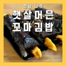 햇살머믄꼬마김밥 | 나주혁신도시 빛가람동 김밥 튀김 떡볶이 맛집 햇살머믄꼬마김밥 내돈내산 후기