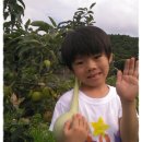 용남농장 이미지