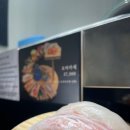 아라스시 - 중랑구 신내로 211 | 아라스시