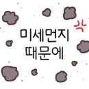 오투클린 이미지