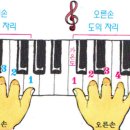 도의