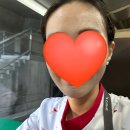 아이에스엠 | [외항사 비행일기 9] 드디어 롱홀! 뉴질랜드 비행 후기