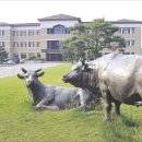 성환농장 이미지