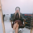 멍멍이네미용실 이미지