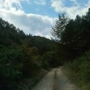 무릉도원면-18 이미지