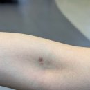 반포성모정형외과의원 이미지