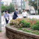 걷고싶은거리 이미지