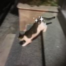 봉봉약국 이미지