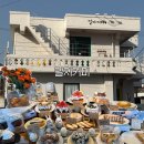 달자 | 충남 천안역 디저트가 다양하고 애견동반 가능한 카페 l 달자커피