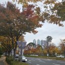 트레이더스 홀세일클럽 서면점 이미지