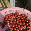 (주)대한씨엔엠 이미지