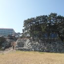 덕영치과병원연수원 티스토리